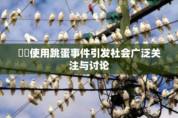 妺妺使用跳蛋事件引发社会广泛关注与讨论