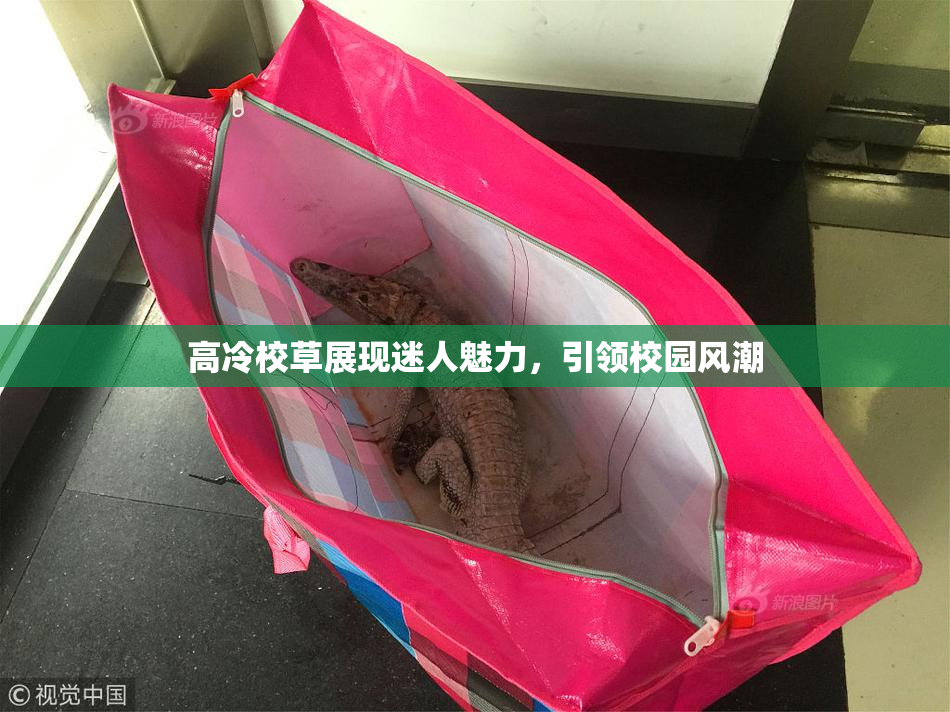 高冷校草展现迷人魅力，引领校园风潮