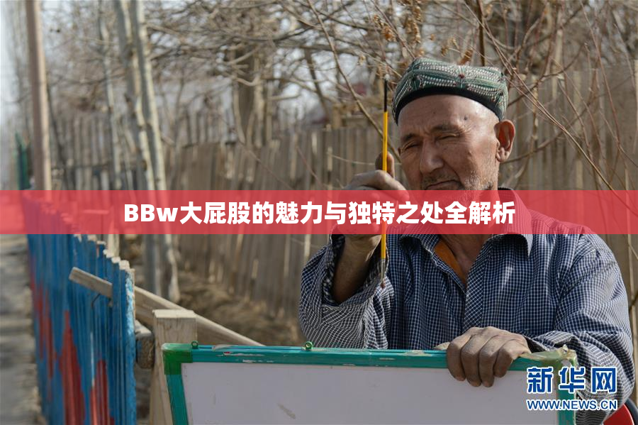 BBw大屁股的魅力与独特之处全解析