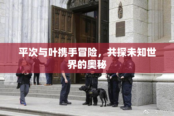 平次与叶携手冒险，共探未知世界的奥秘