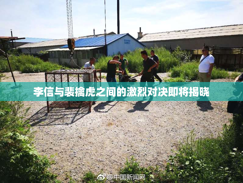 李信与裴擒虎之间的激烈对决即将揭晓