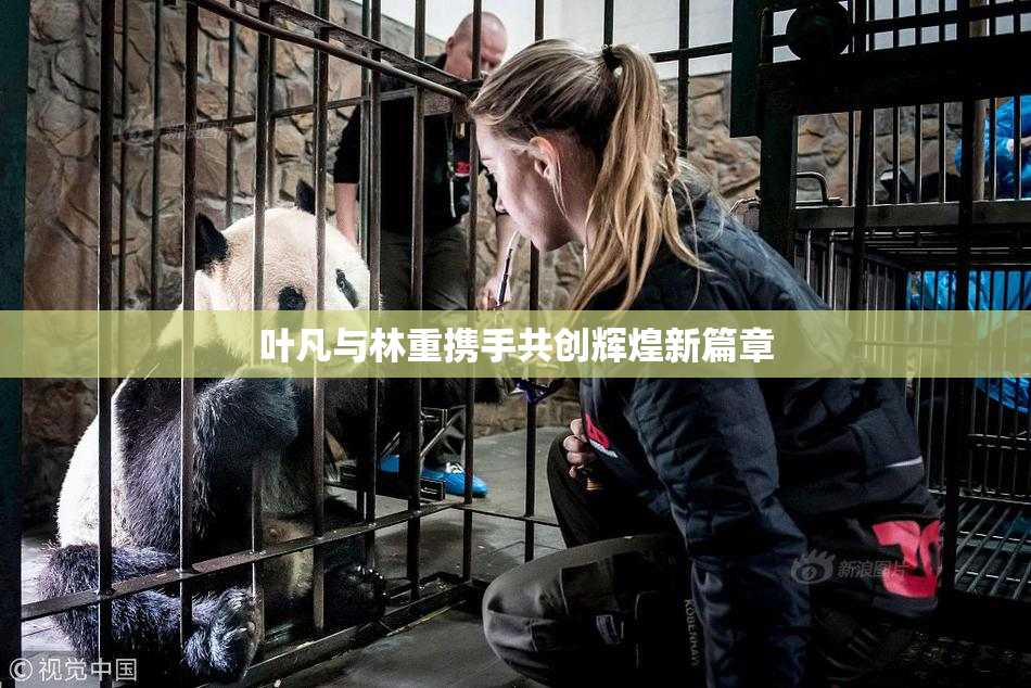 叶凡与林重携手共创辉煌新篇章