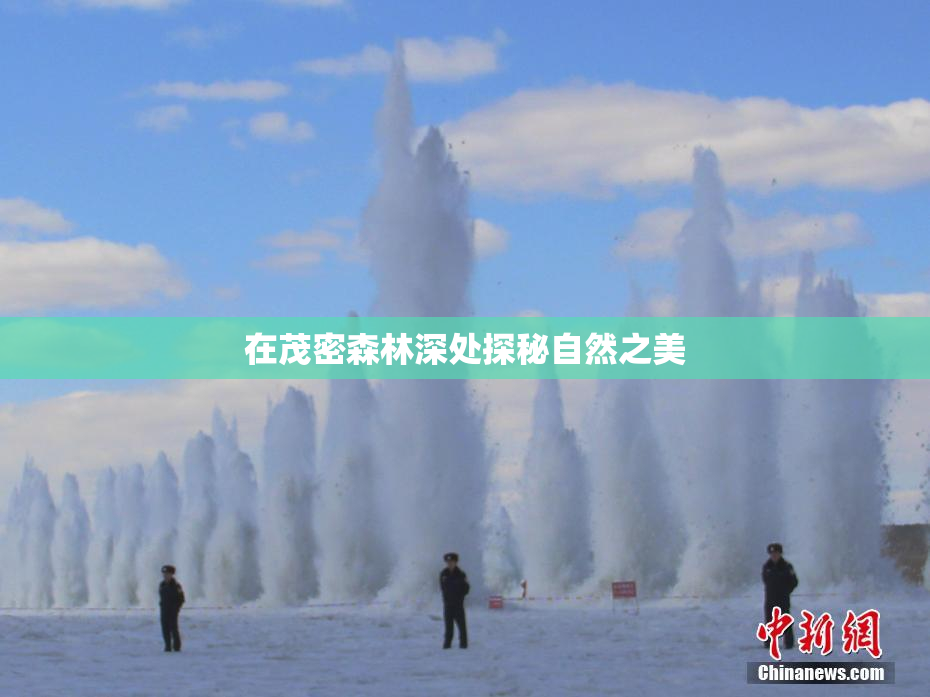在茂密森林深处探秘自然之美