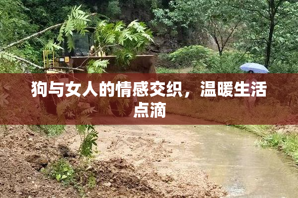 狗与女人的情感交织，温暖生活点滴