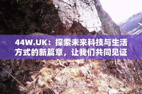 44W.UK：探索未来科技与生活方式的新篇章，让我们共同见证！