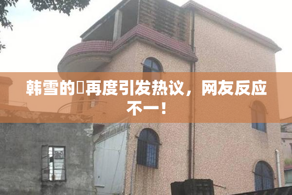 韩雪的婬再度引发热议，网友反应不一！