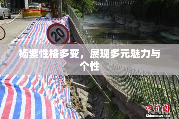 杨紫性格多变，展现多元魅力与个性