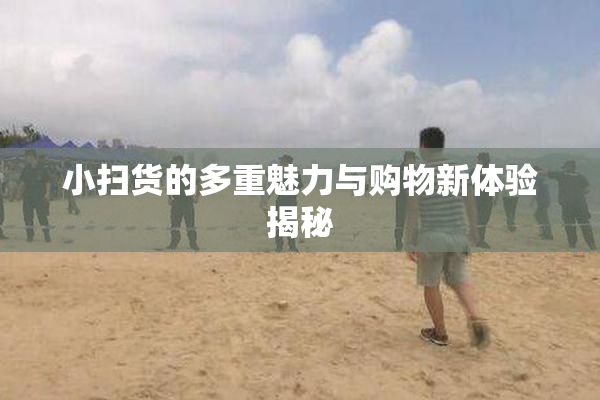 小扫货的多重魅力与购物新体验揭秘