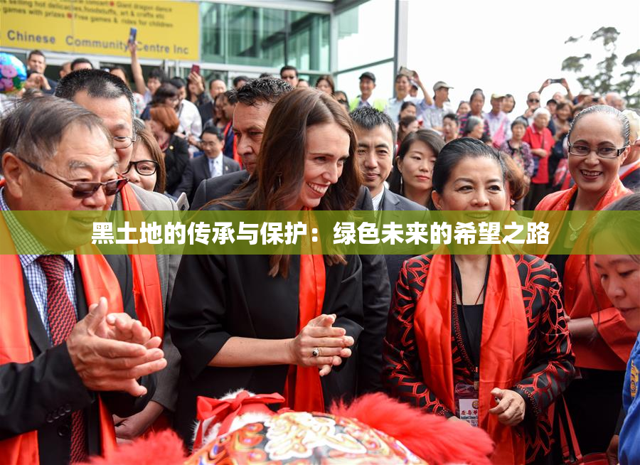 黑土地的传承与保护：绿色未来的希望之路