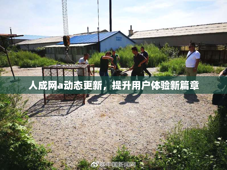 人成网a动态更新，提升用户体验新篇章