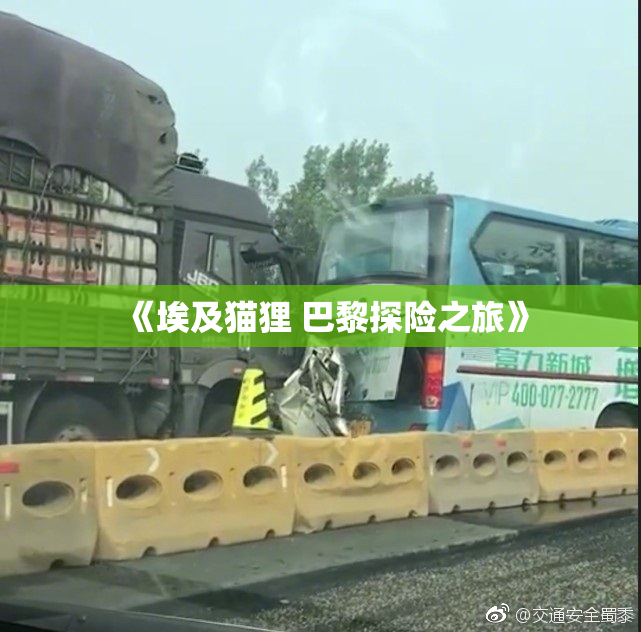 《埃及猫狸 巴黎探险之旅》