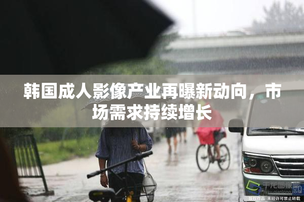 韩国成人影像产业再曝新动向，市场需求持续增长