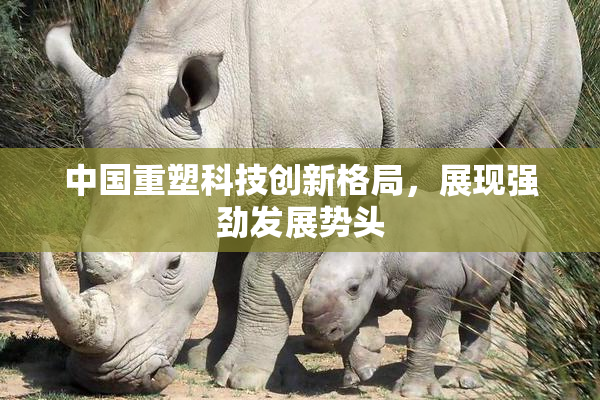 中国重塑科技创新格局，展现强劲发展势头