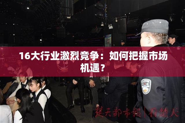 16大行业激烈竞争：如何把握市场机遇？