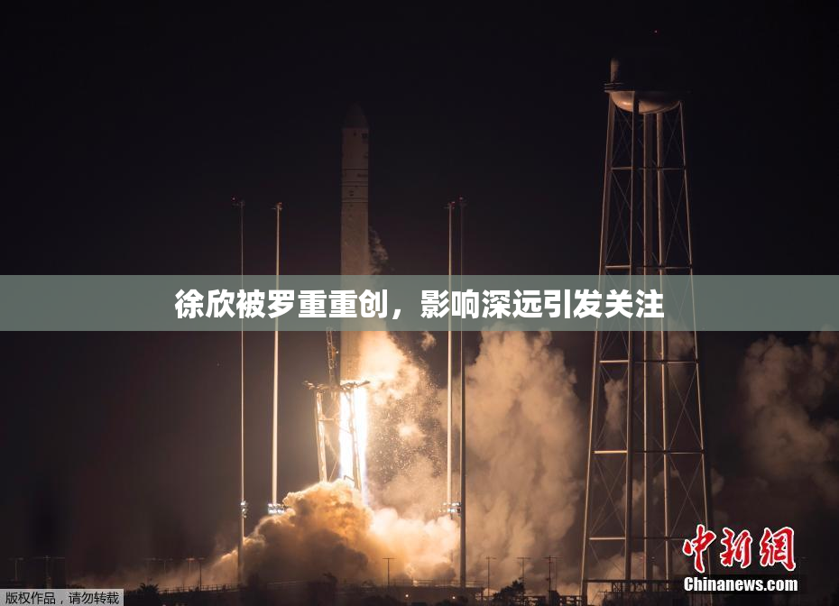 徐欣被罗重重创，影响深远引发关注