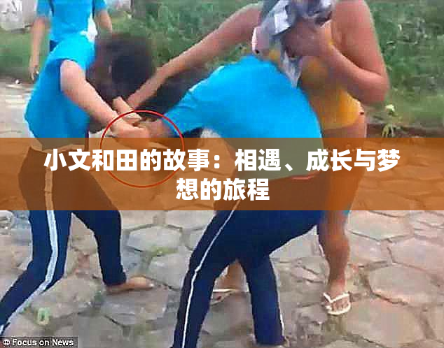 小文和田的故事：相遇、成长与梦想的旅程