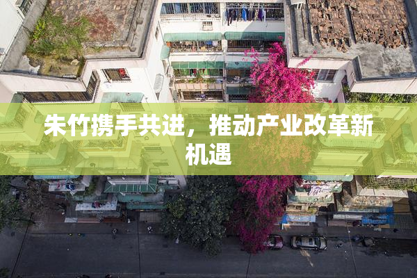 朱竹携手共进，推动产业改革新机遇