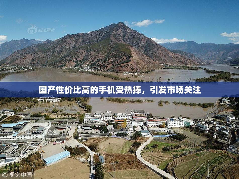 国产性价比高的手机受热捧，引发市场关注