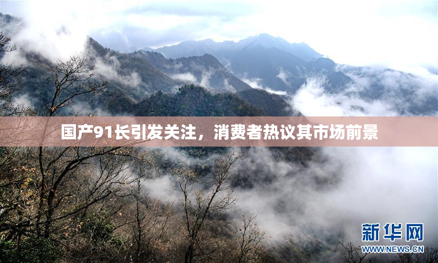 国产91长引发关注，消费者热议其市场前景