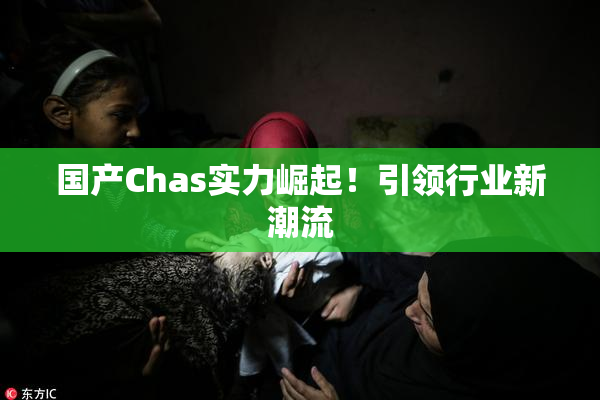 国产Chas实力崛起！引领行业新潮流