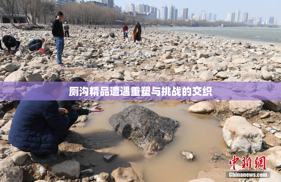 厕沟精品遭遇重塑与挑战的交织