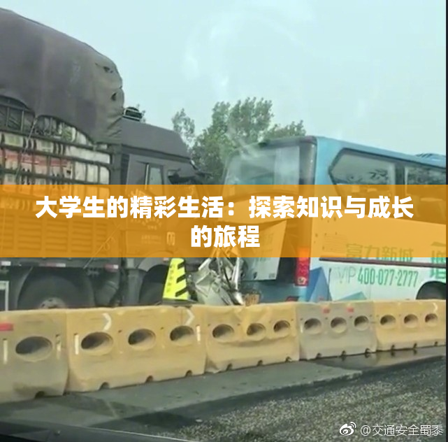 大学生的精彩生活：探索知识与成长的旅程