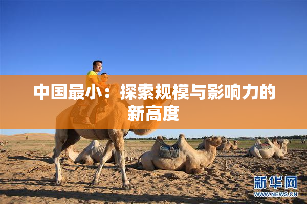 中国最小：探索规模与影响力的新高度
