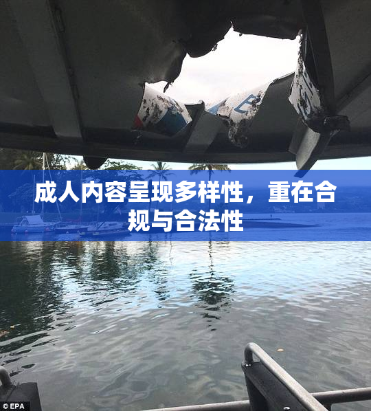 成人内容呈现多样性，重在合规与合法性