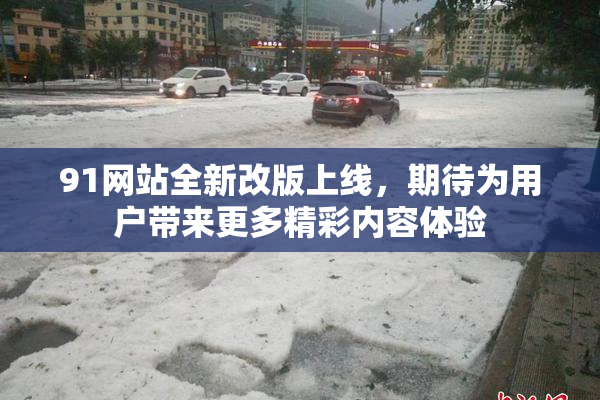 91网站全新改版上线，期待为用户带来更多精彩内容体验