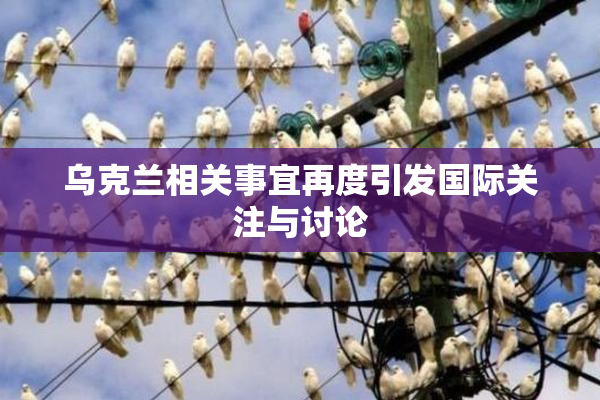乌克兰相关事宜再度引发国际关注与讨论