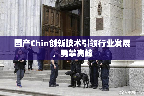 国产Chin创新技术引领行业发展，勇攀高峰