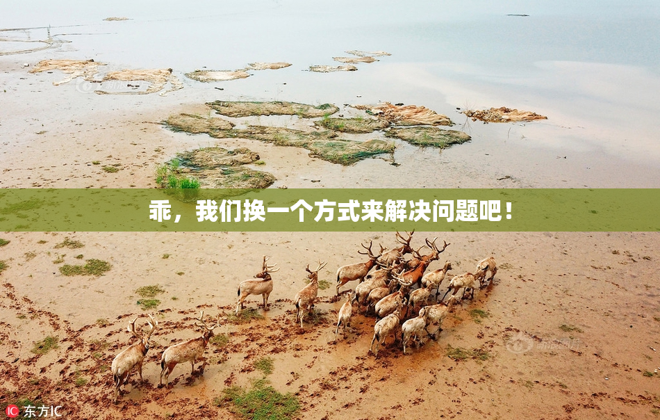 乖，我们换一个方式来解决问题吧！