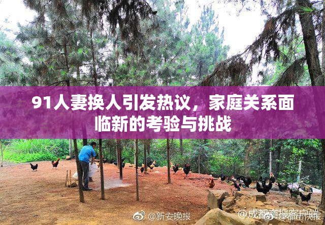 91人妻换人引发热议，家庭关系面临新的考验与挑战