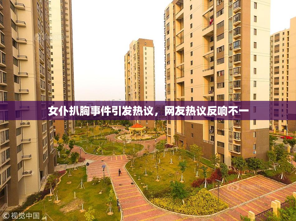 女仆扒胸事件引发热议，网友热议反响不一