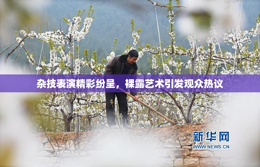 杂技表演精彩纷呈，裸露艺术引发观众热议