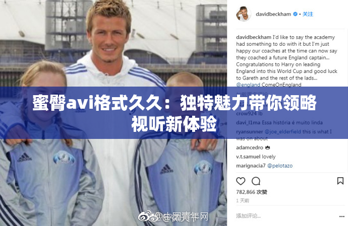 蜜臀avi格式久久：独特魅力带你领略视听新体验