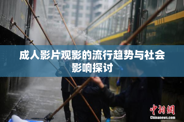 成人影片观影的流行趋势与社会影响探讨