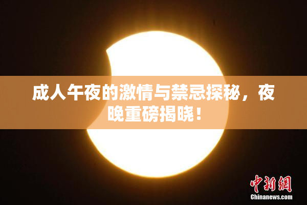 成人午夜的激情与禁忌探秘，夜晚重磅揭晓！