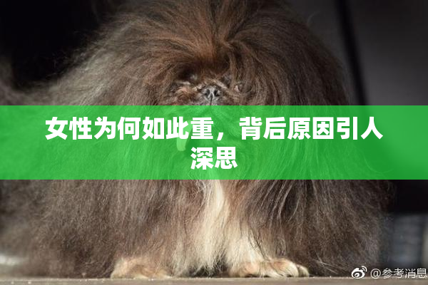 女性为何如此重，背后原因引人深思