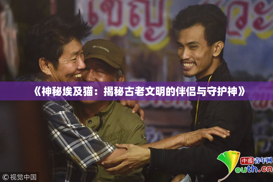 《神秘埃及猫：揭秘古老文明的伴侣与守护神》