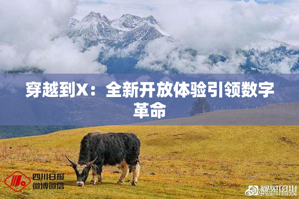 穿越到X：全新开放体验引领数字革命