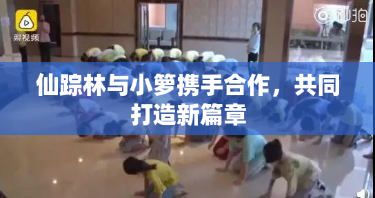 仙踪林与小箩携手合作，共同打造新篇章