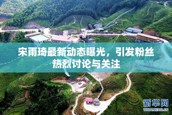 宋雨琦最新动态曝光，引发粉丝热烈讨论与关注