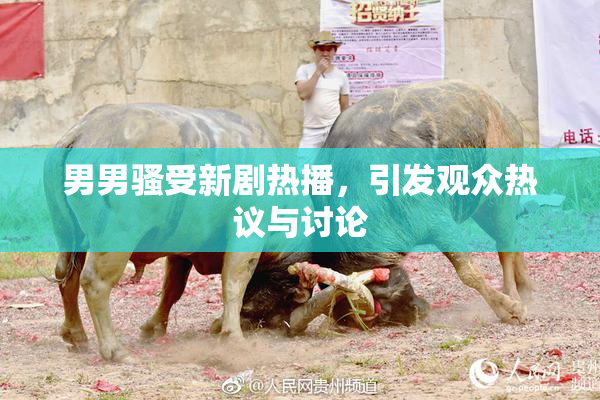 男男骚受新剧热播，引发观众热议与讨论