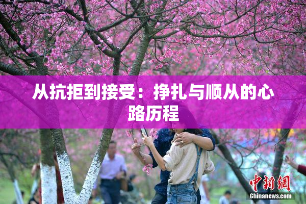 从抗拒到接受：挣扎与顺从的心路历程