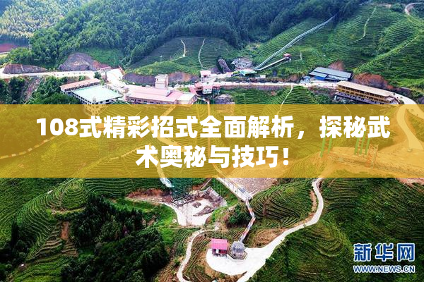 108式精彩招式全面解析，探秘武术奥秘与技巧！