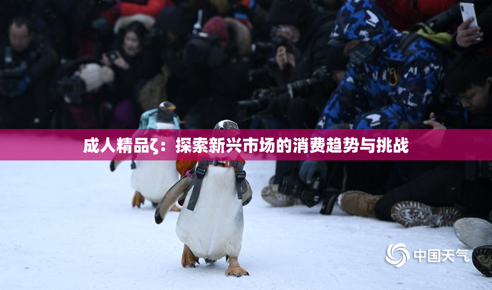 成人精品ζ：探索新兴市场的消费趋势与挑战