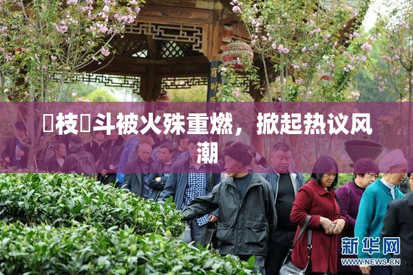 狛枝凪斗被火殊重燃，掀起热议风潮
