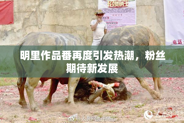 明里作品番再度引发热潮，粉丝期待新发展