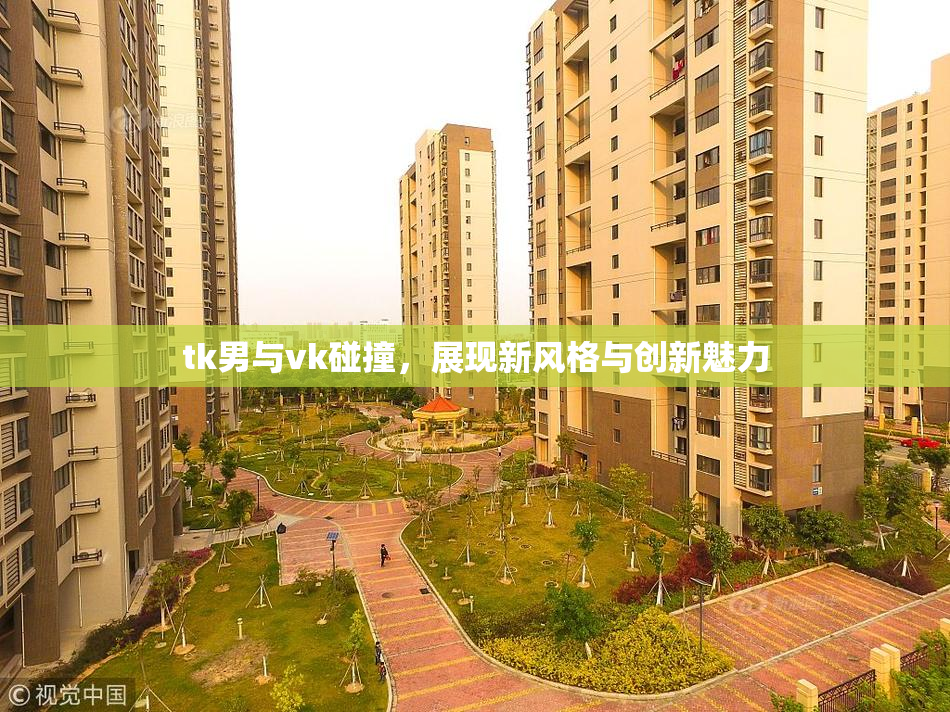 tk男与vk碰撞，展现新风格与创新魅力